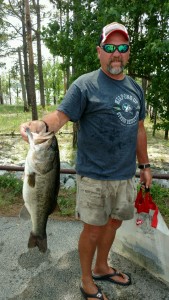 Steve's 7.38